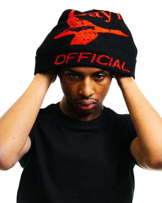 Layr Official Flying Duck Skully Black/ Purple