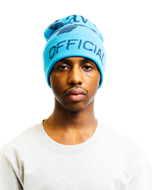 Layr Official Flying Duck Skully Teal/Navy