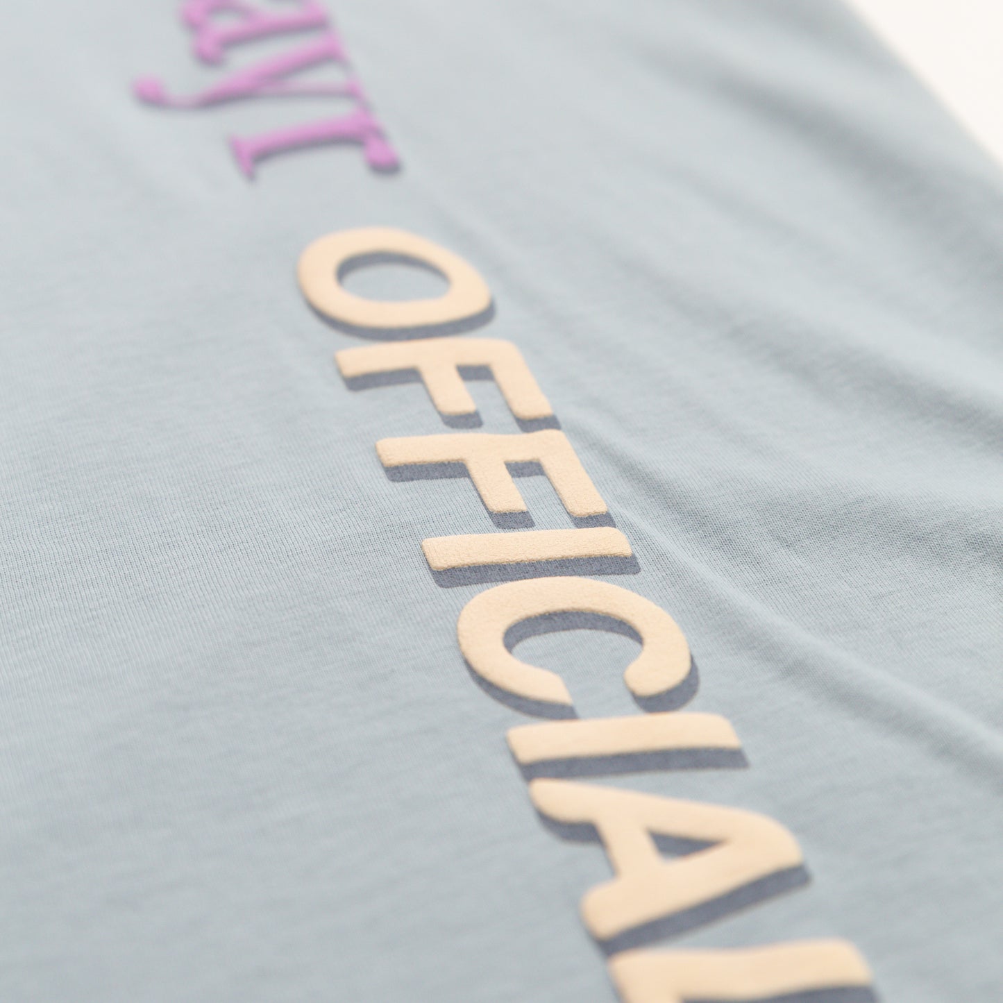 Global Duck Tee, Light Blue - Layr Official