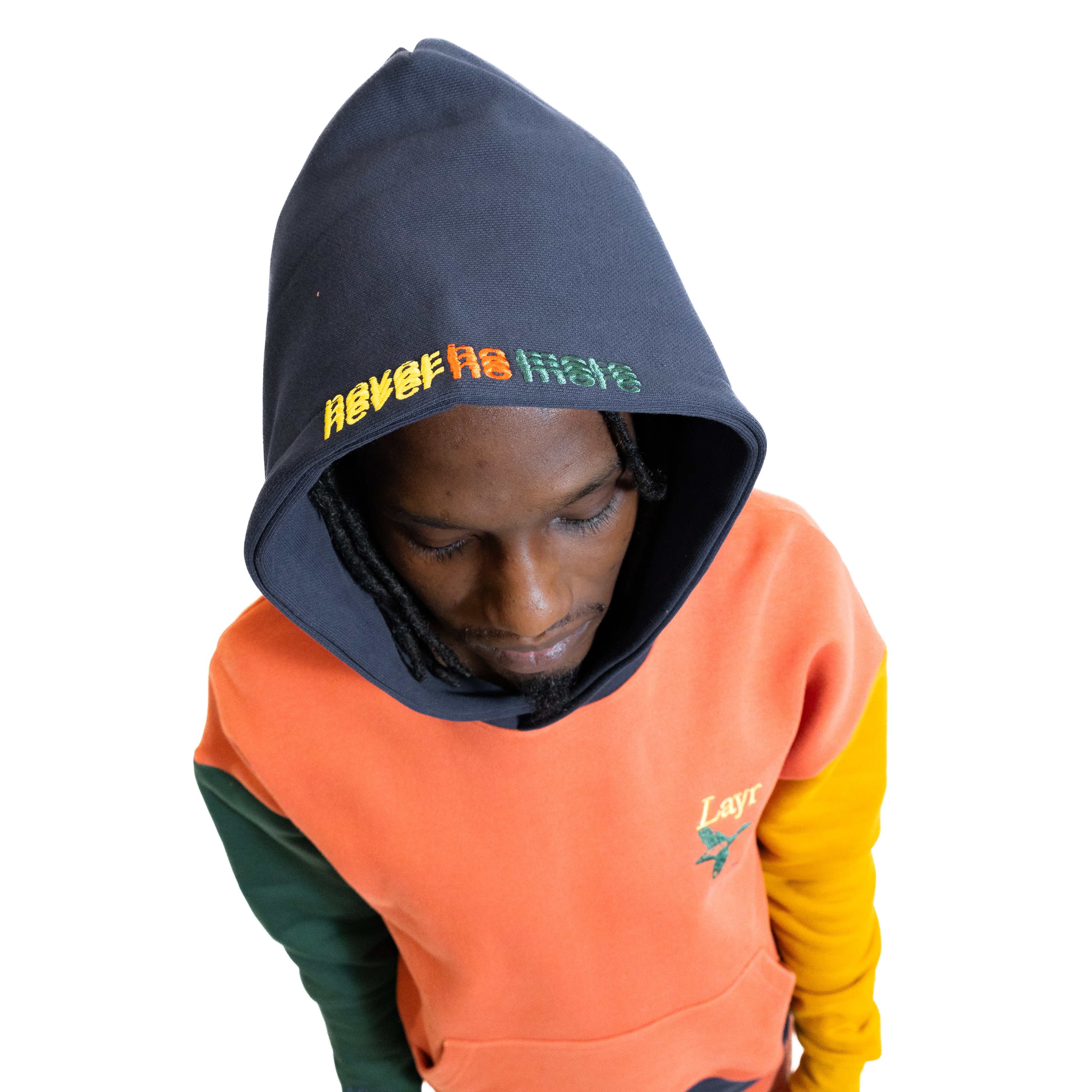 Color block on sale multi panel hoodie