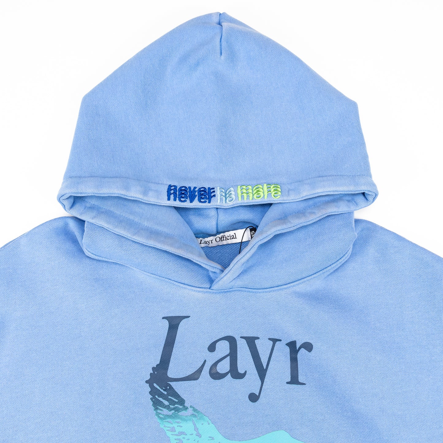 Flying Duck Hoodie, Acid Blue/Green-Blue - Layr Official