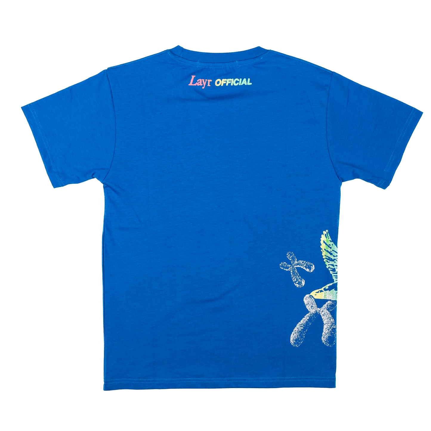 Flying Duck Chromosome Tee, Washed Blue - Layr Official